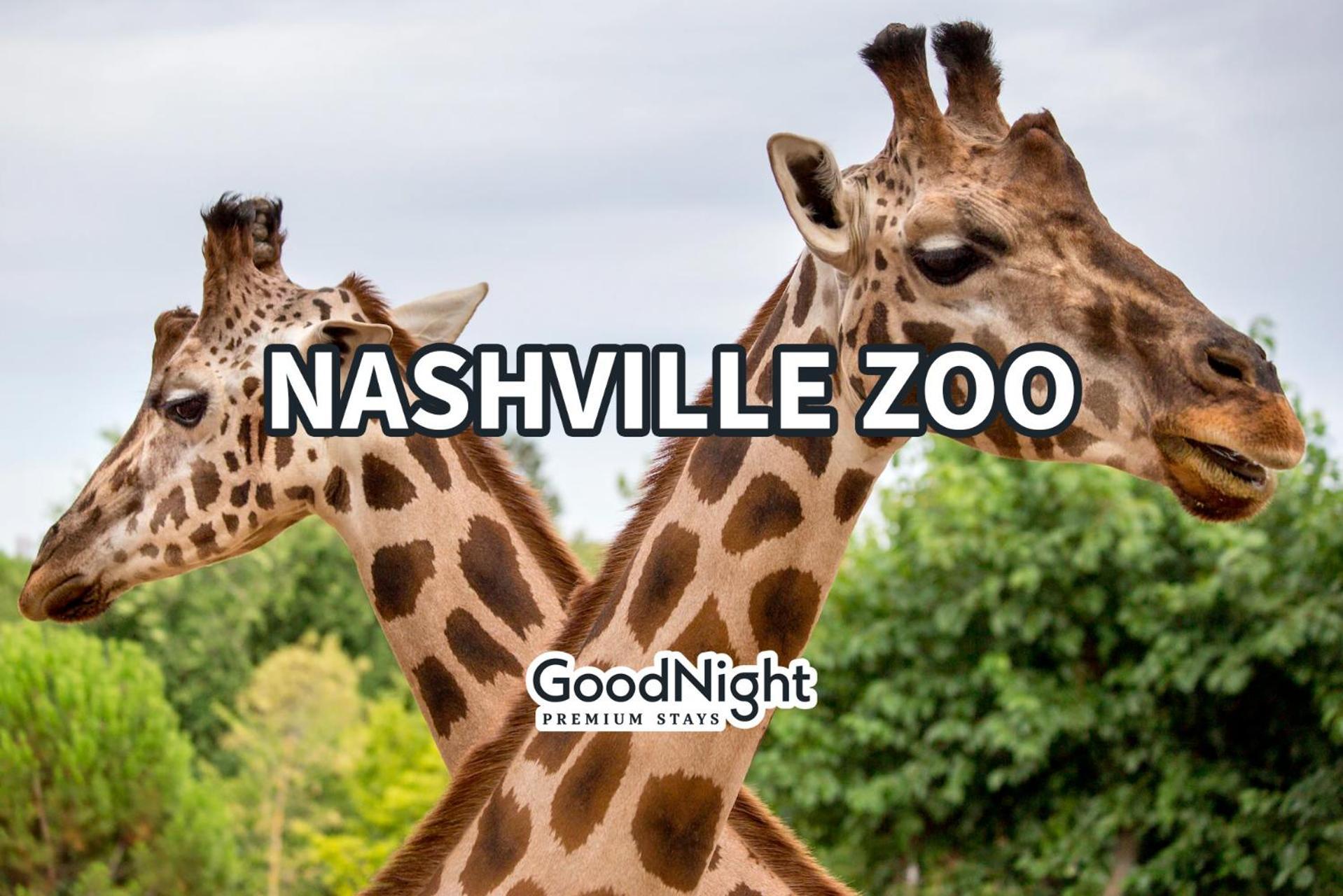 Edgehill Duo - 2 Townhomes - Mins Vanderbilt University Nashville Ngoại thất bức ảnh